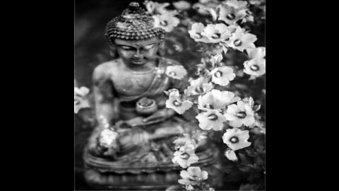 Estratto meditazione sentire e rilassare il corpo