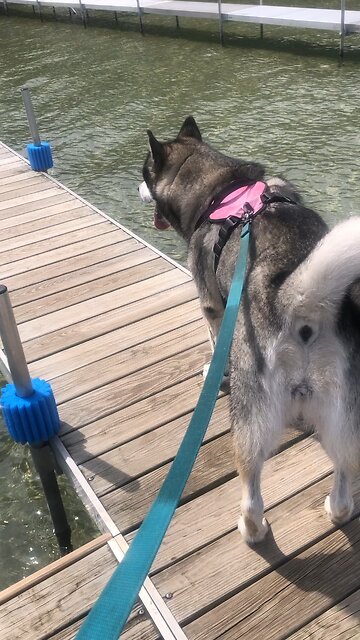 Tuesday August 27, Do this and you will live.