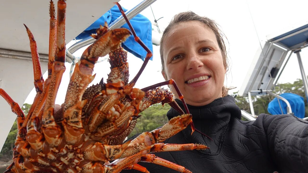 Call me the LOBSTER HUNTER - Free Range Sailing Ep 137