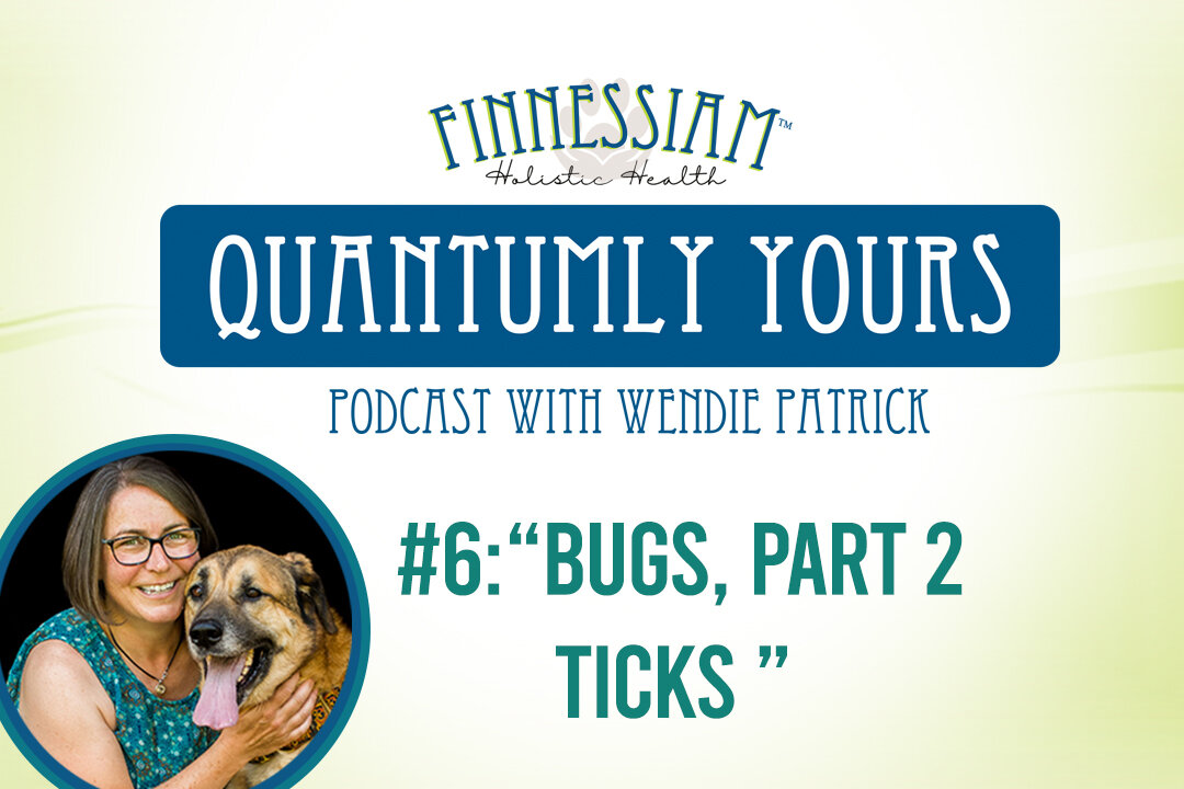 6 Bugs, Part 2 - Ticks - Quantumly Yours (Finnessiam Health's Podcast)
