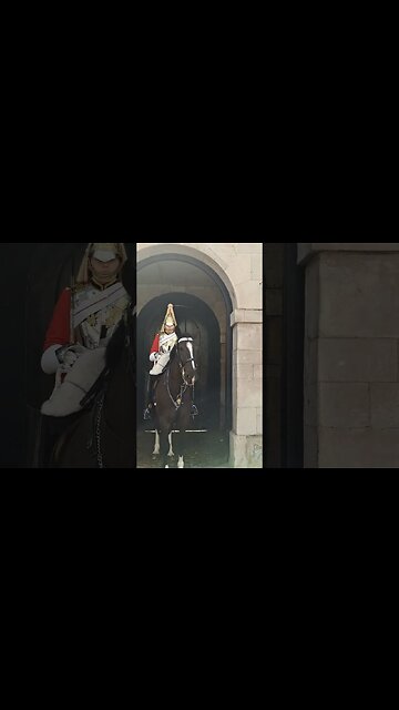 He ran fast lol #horseguardsparade