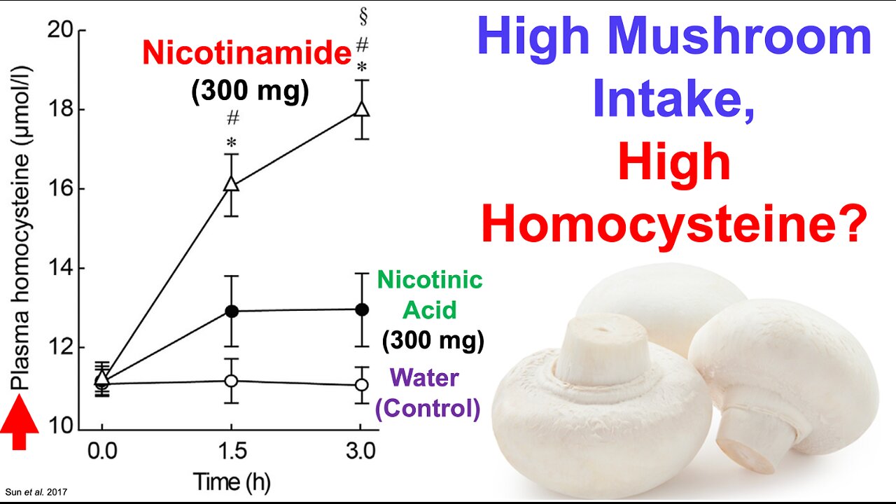 High Mushroom Intake, High Homocysteine?