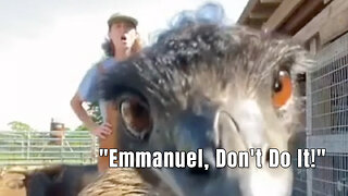 "Emmanuel, Don't Do It!"