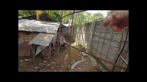 LITTLE FERROCEMENT TOOL SHED