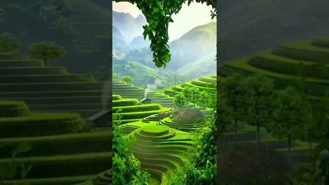 Beautiful Scenery