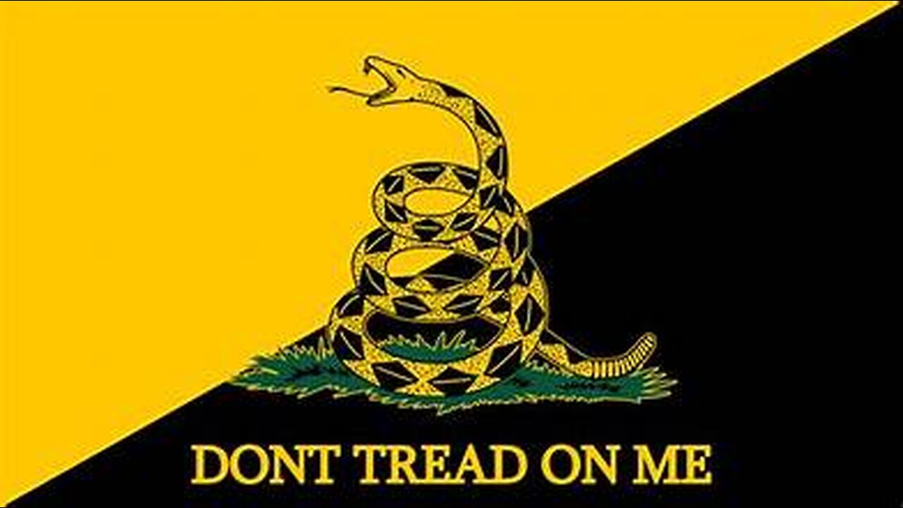NEW CALIFORNIA STATE NOVEMBER 24, 2024