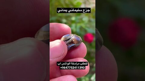 جزع سليماني يماني