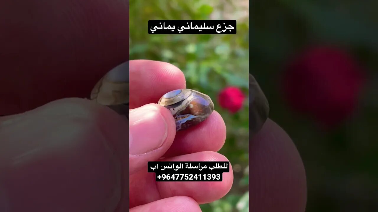جزع سليماني يماني