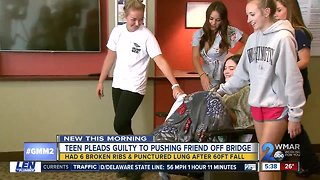 Teen pleads guilty to pushing friend off bridge