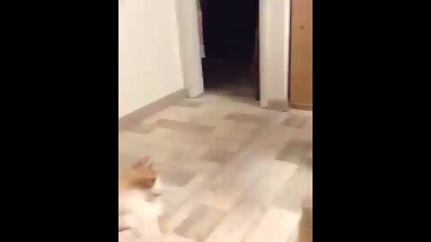 1..2..3.. Jump 😅