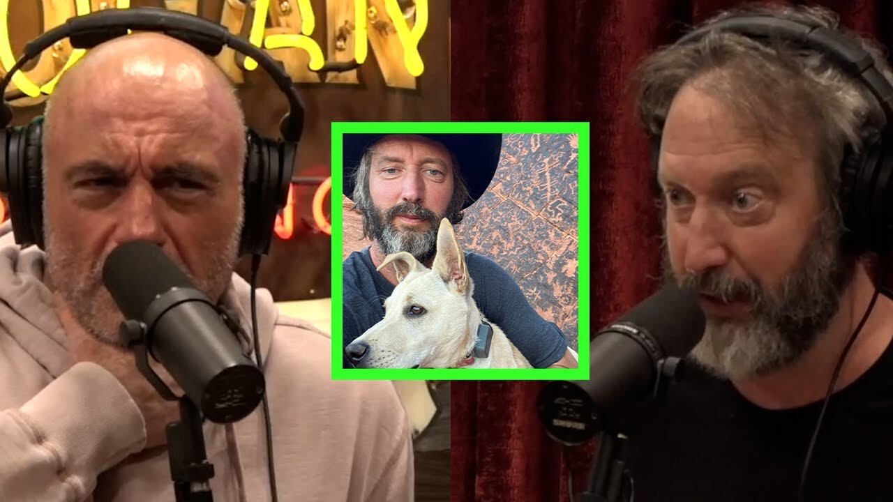 Tom Green On Being Grateful After Recovering From 3rd Degree Burns