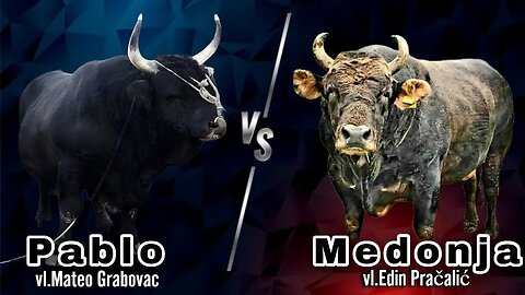 Pablo vs Medonja the best bull fight ever