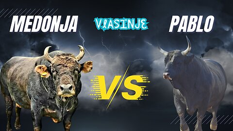 Pablo vs Medonja the best bull fight ever