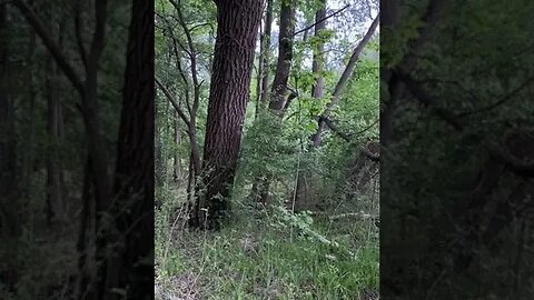 Gloomy Day tiktok carolinekrarup