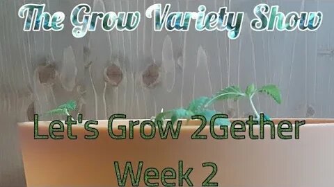 Let's Grow 2Gether: Week 2 check in