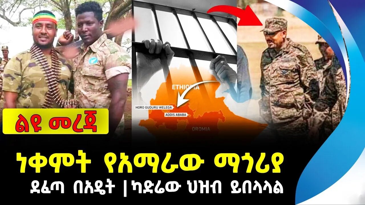 ነቀምት የአማራው ማጎሪያ | ደፈጣ በአዴት | ካድሬው ህዝብ ይበላላል