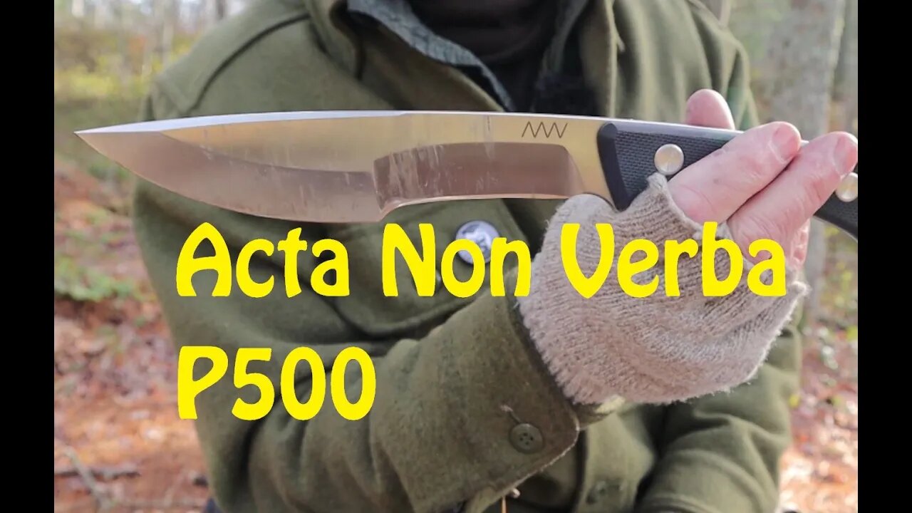 ANV Acta non Verba (Action not Words) P500