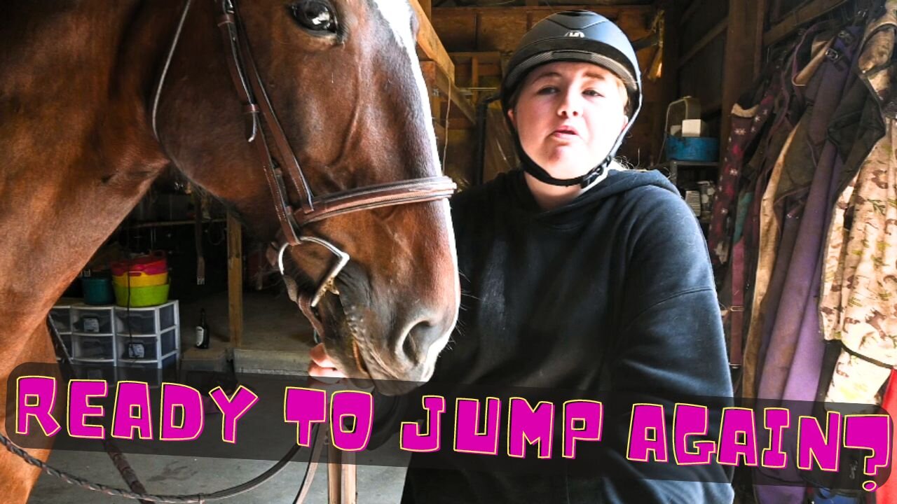 So You Think You're Ready To Jump Again