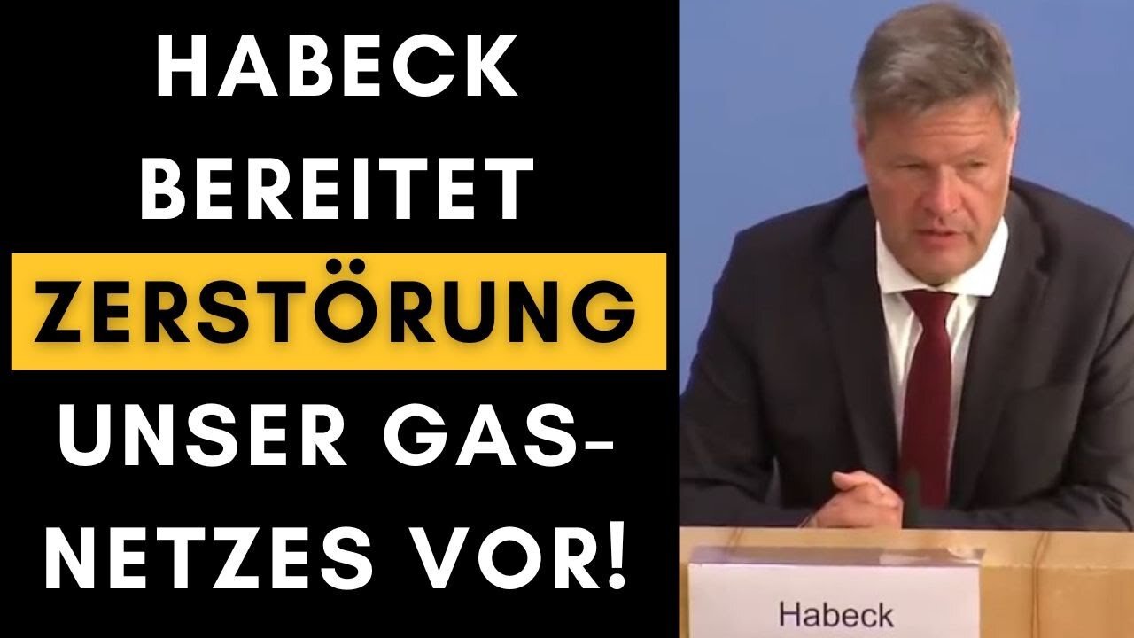 Endgültige Zerstörung der Gas-Heizung & Zwangskündigung für Gas-Kunden!@Alexander Raue🙈