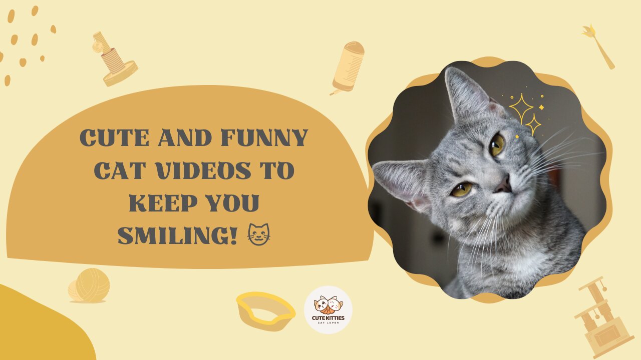 Cute and Funny Cat Videos to Keep You Smiling! 🐱