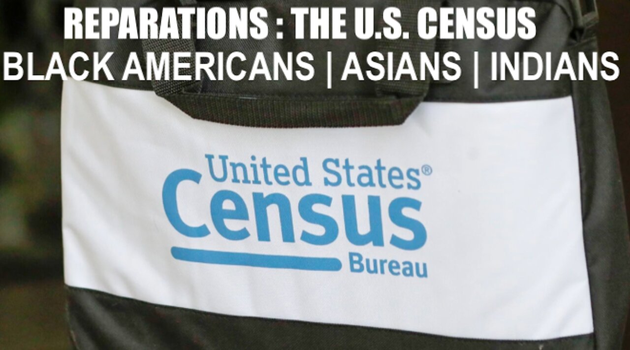 REPARATIONS : THE UNITED STATES CENSUS & HOW IT APPLIES TO BLACK AMERICANS AND OTHER MINORITIES