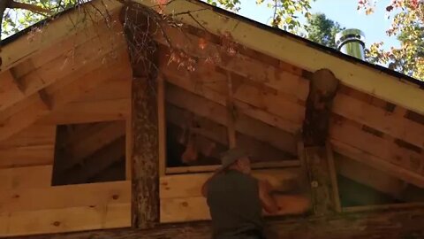 Porch Overhang, Install Windows, Stone Floor, Garden Harvest, Off Grid Log Cabin Build Alone, Ep 23