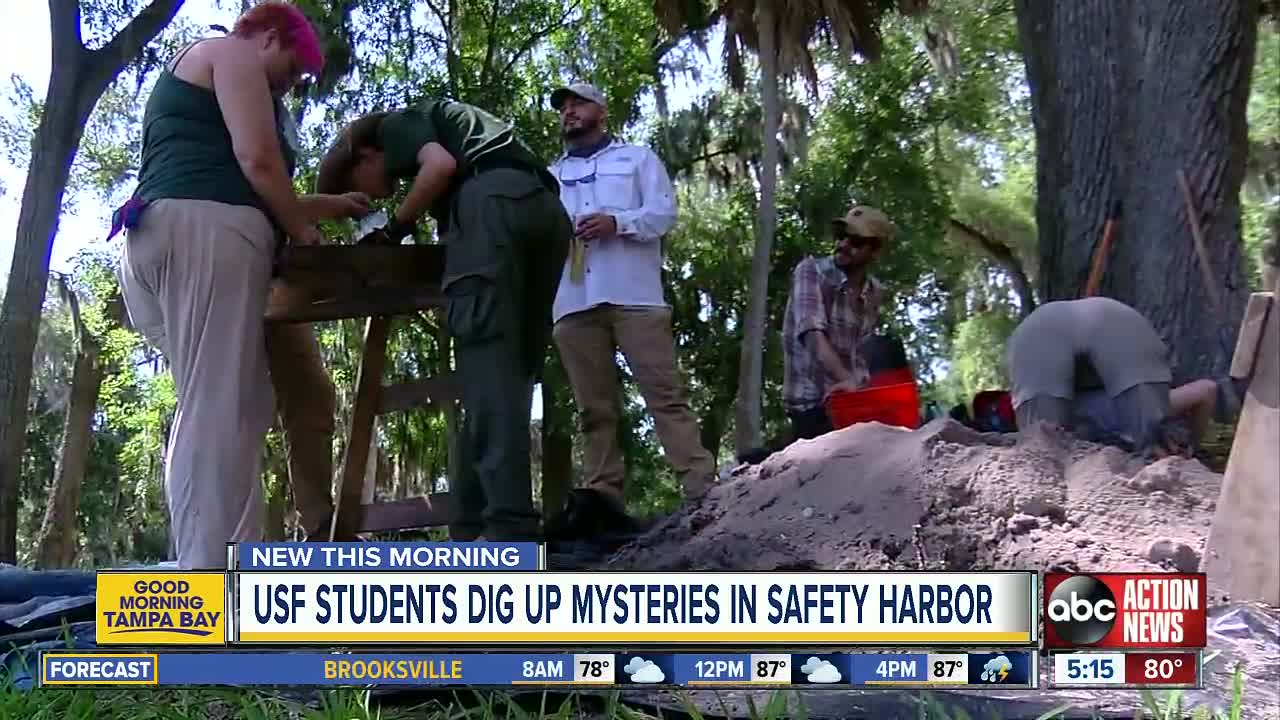 USF students digging up mysteries in Safety Harbor park