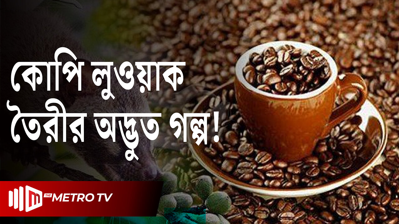 কোপি লুয়াক: পৃথিবীর সবচেয়ে দামী কফির গল্প | Kopi Luwak Coffee | The Metro TV