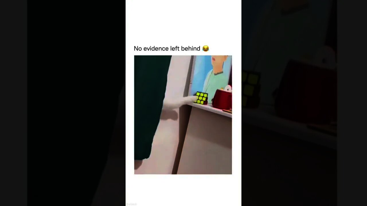 Hey! What just happened here?! Part #3😂😂