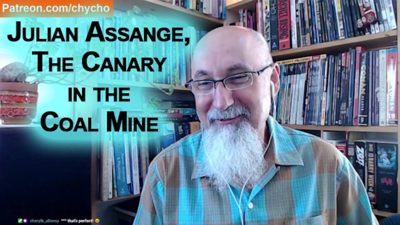 Why We Are Focusing so Much on Julian Assange: He Is the Canary in the Coal Mine