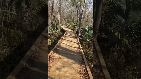 Hiking Trails Houston Texas | Kingwood East End Park