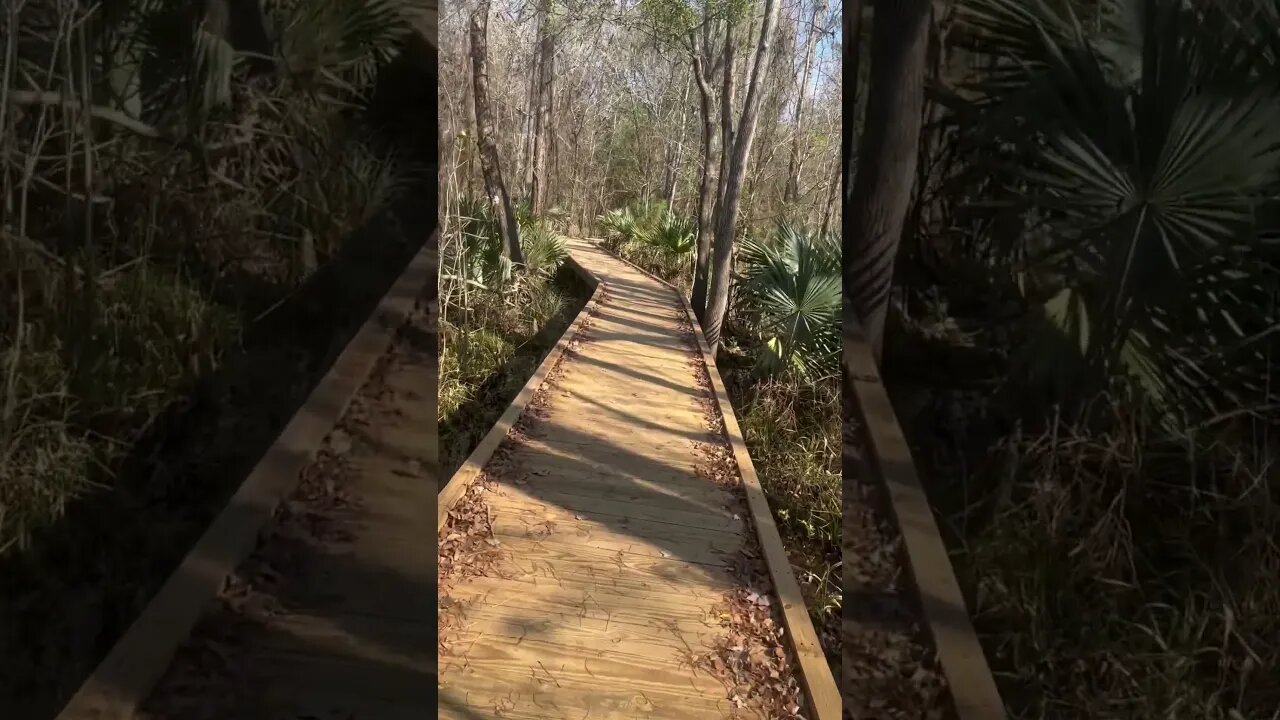 Hiking Trails Houston Texas | Kingwood East End Park