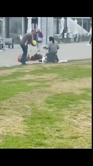 A Break from the Nonsense of the Cackling Nincompoop