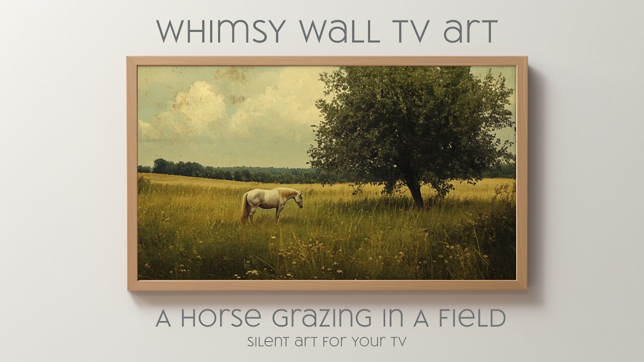 A Horse Grazing In A Field: Silent Art For Your TV, Frame TV and CanvasTV Art in 4K