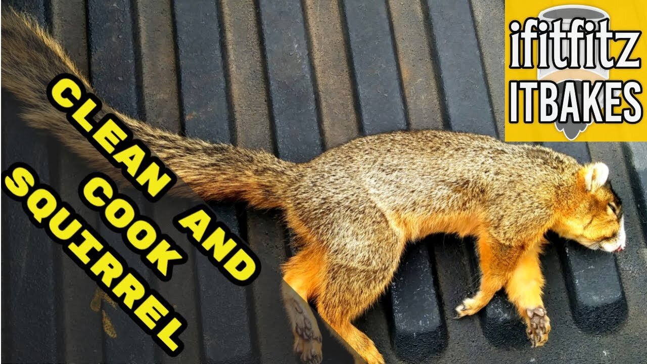 Squirrel and Dumplings: Clean and Cook