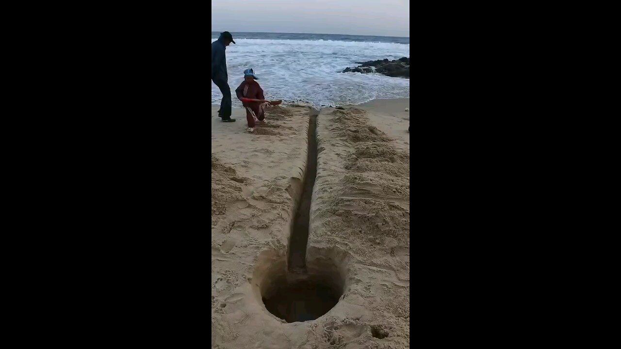 Beach Fun