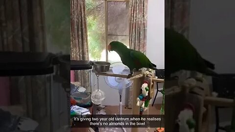 A forest bird never wants a cage