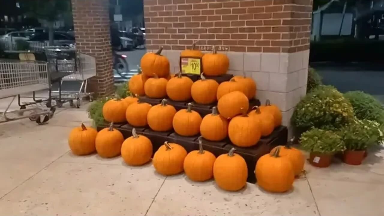 a walk around Porter Square Center in Cambridge