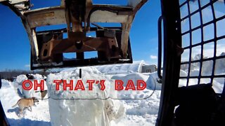 Farm life in the Cold of Winter