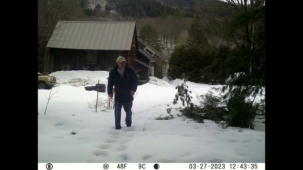 Homestead Dooryard