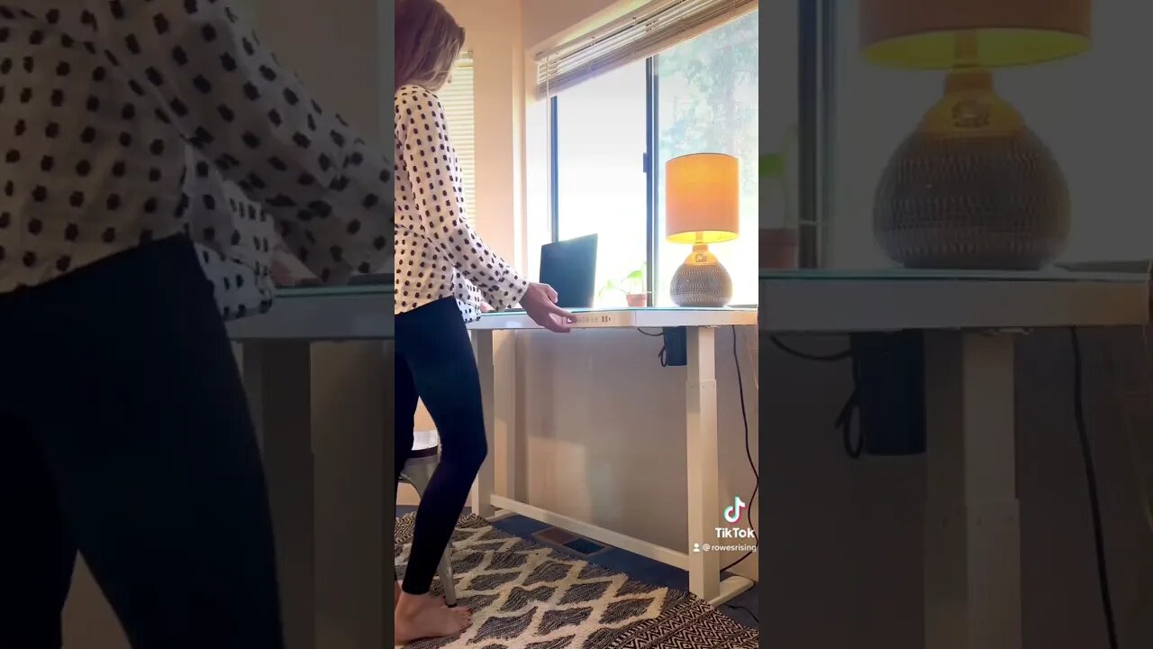 Work Zone UPGRADE! Flexispot all-in-one Standing Desk