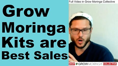 Moringa Box Kit Sales are Most in Demand | Value Added Products | Fulfill Orders as a Member-Owner