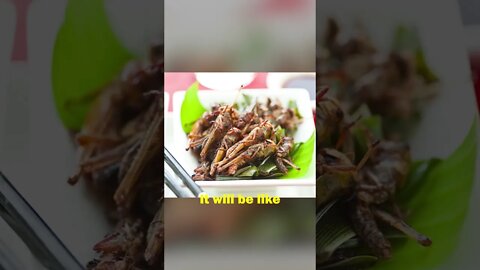 Meat will Only be for the Rich #Shorts