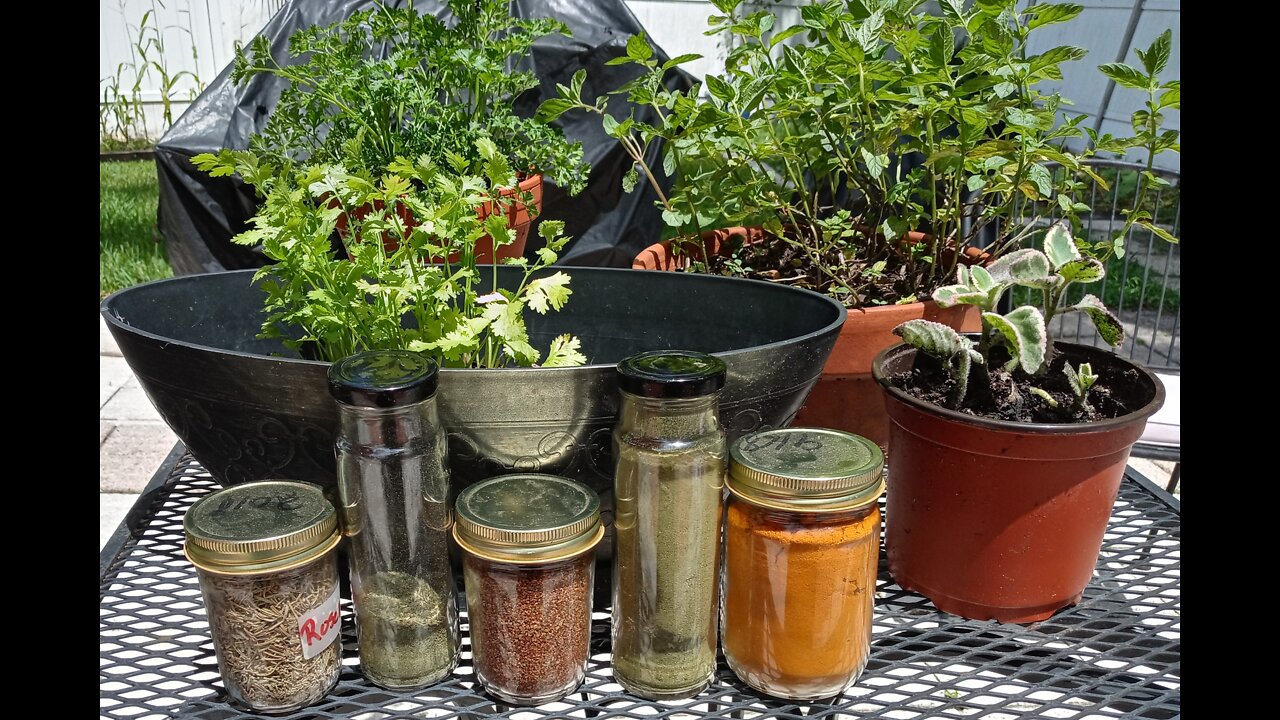 Making Herb Powders From My Garden #5 Preservation Method