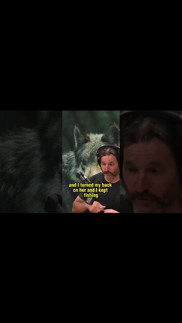 Close Encounter with a Wild Wolf While Fishing - Donnie Vincent on Joe Rogan Experience