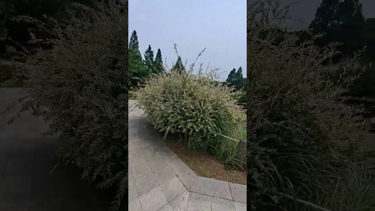 부천 무릉도원 수목원 - 워터가든 입구
