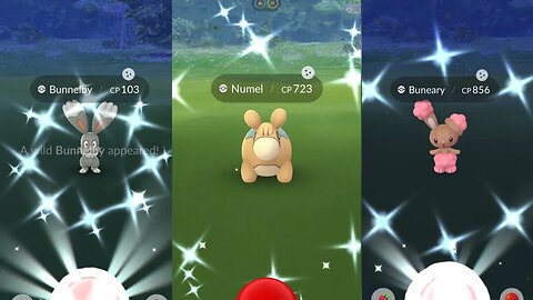 Shiny Hunting and Mega Lopunny raid