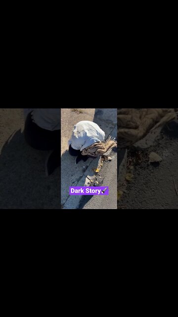 Philadelphia Pennsylvania (Addiction is Real )