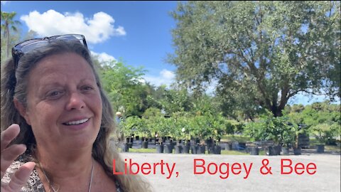 Outdoor Market, Florida Flowers & Loofah