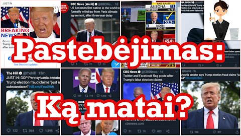 Pastebėjimas: ką matai?